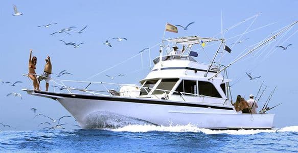 STRIKER 44 SP Sport Fisherman – Los Cristianos