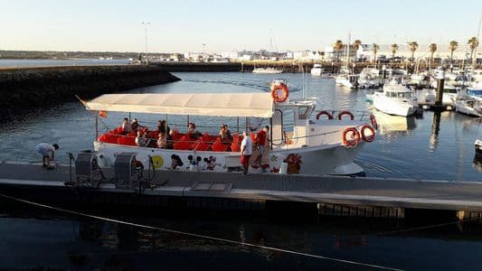 Motor Boat pasaje 12 – Isla Cristina