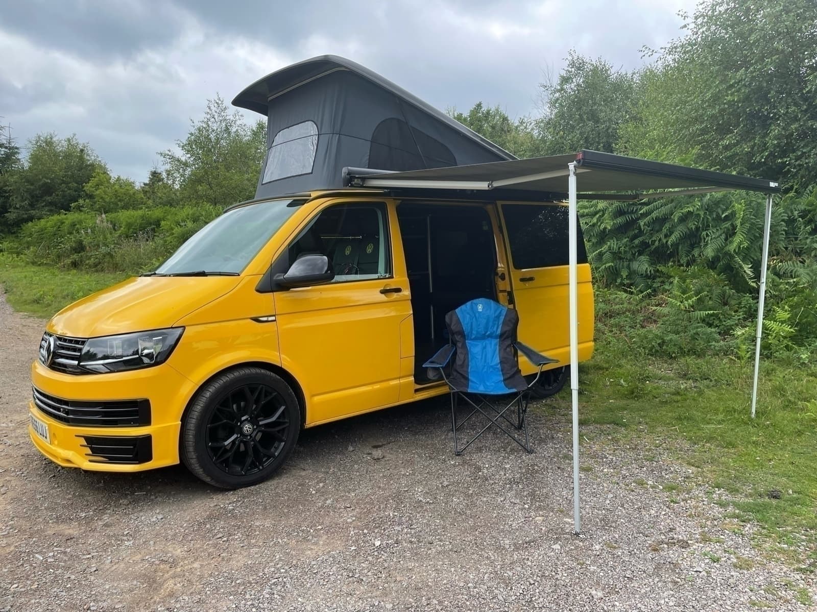 Bee – Newport