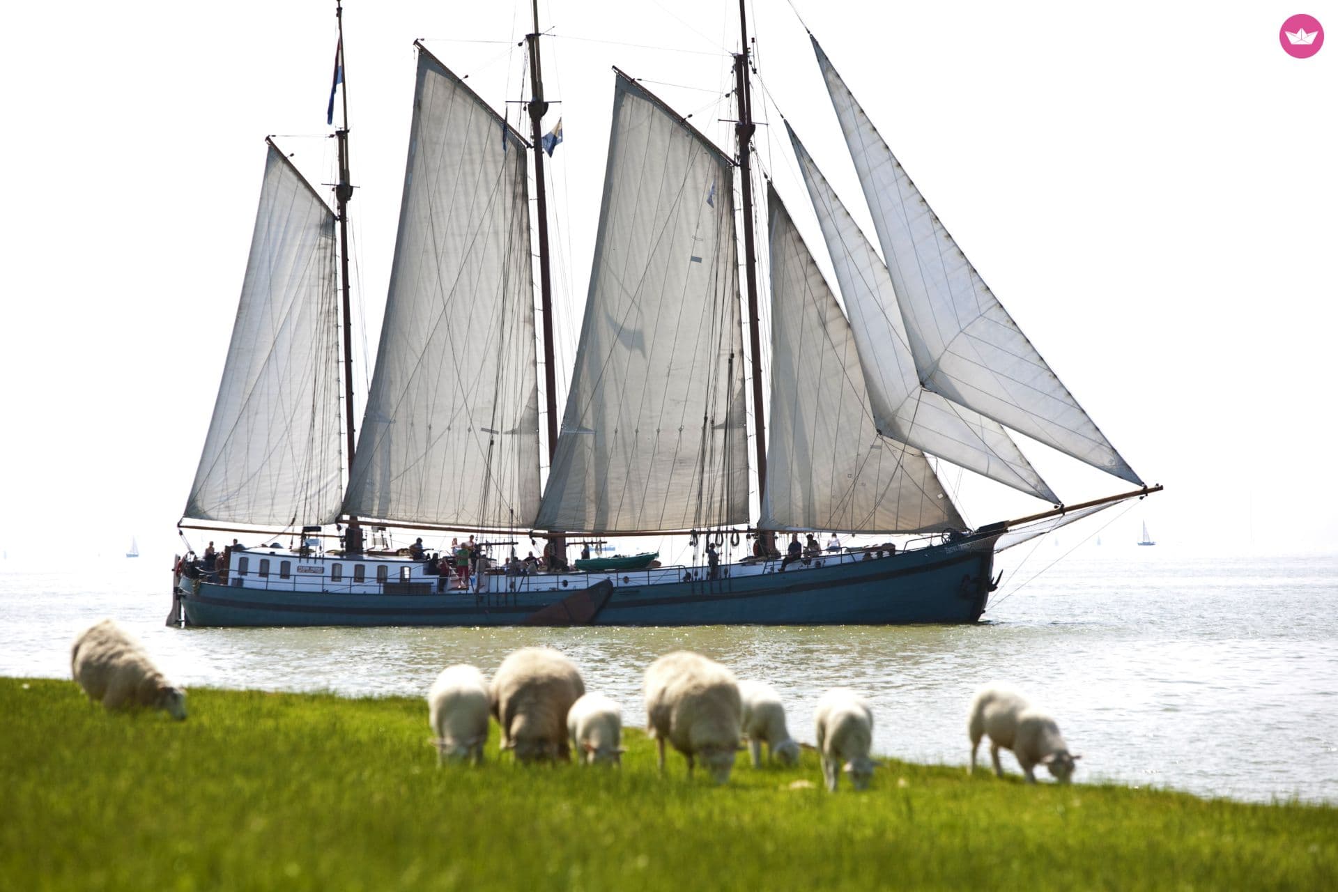 Custom Stevenaak Tsjerk Hiddes – Harlingen