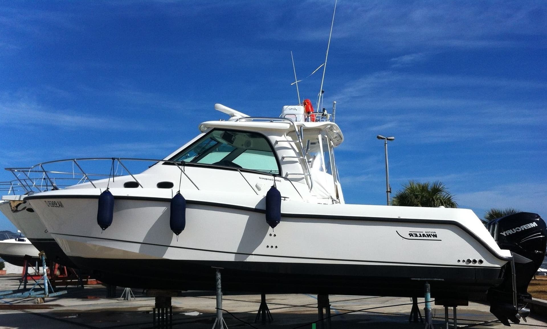 Boston Whaler – Torre Pali