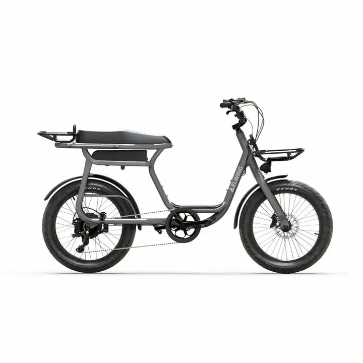 2 people E Bike