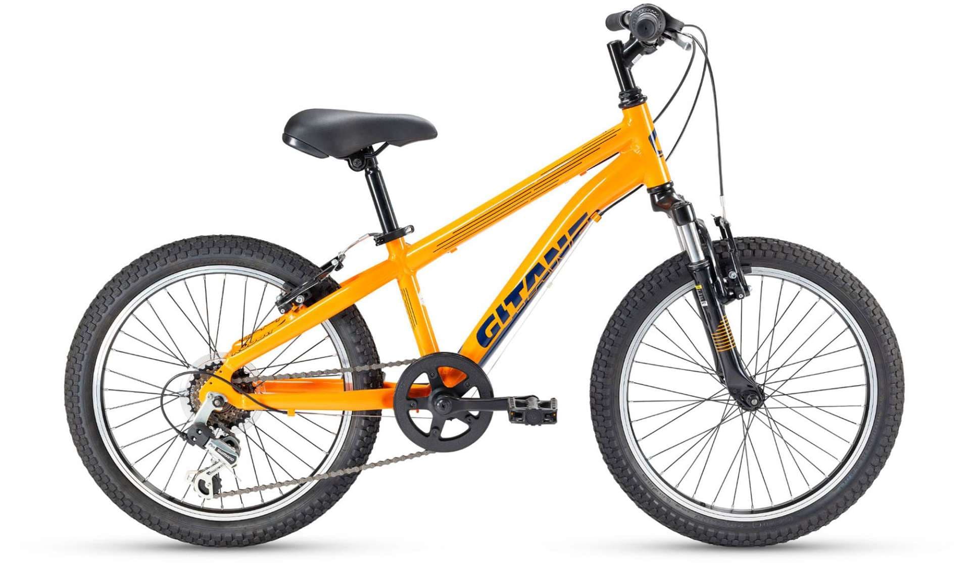 20-Inch Bike