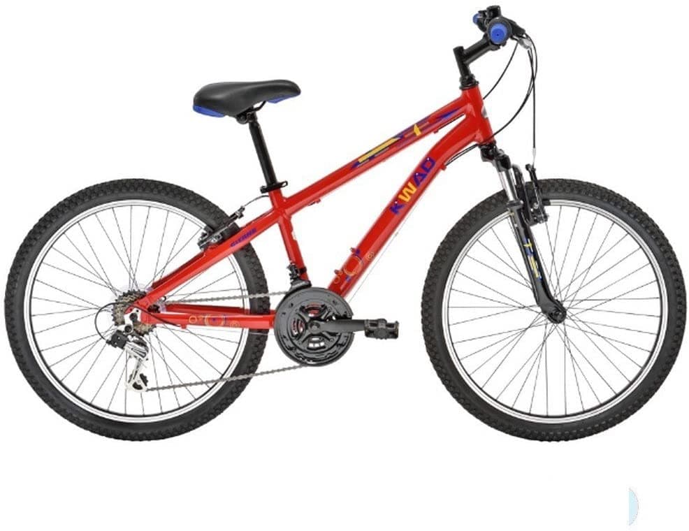 24-inch mountain bike