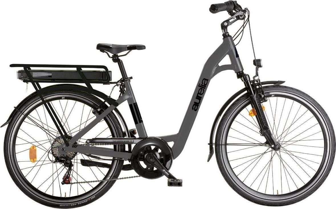 Ø28 Electric Bicycle L/XL