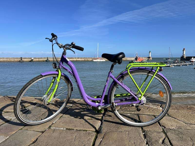 Adult Commuter Bike