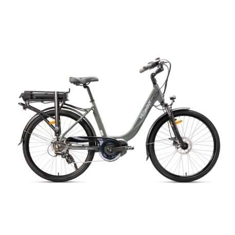 Adult Electric Bike