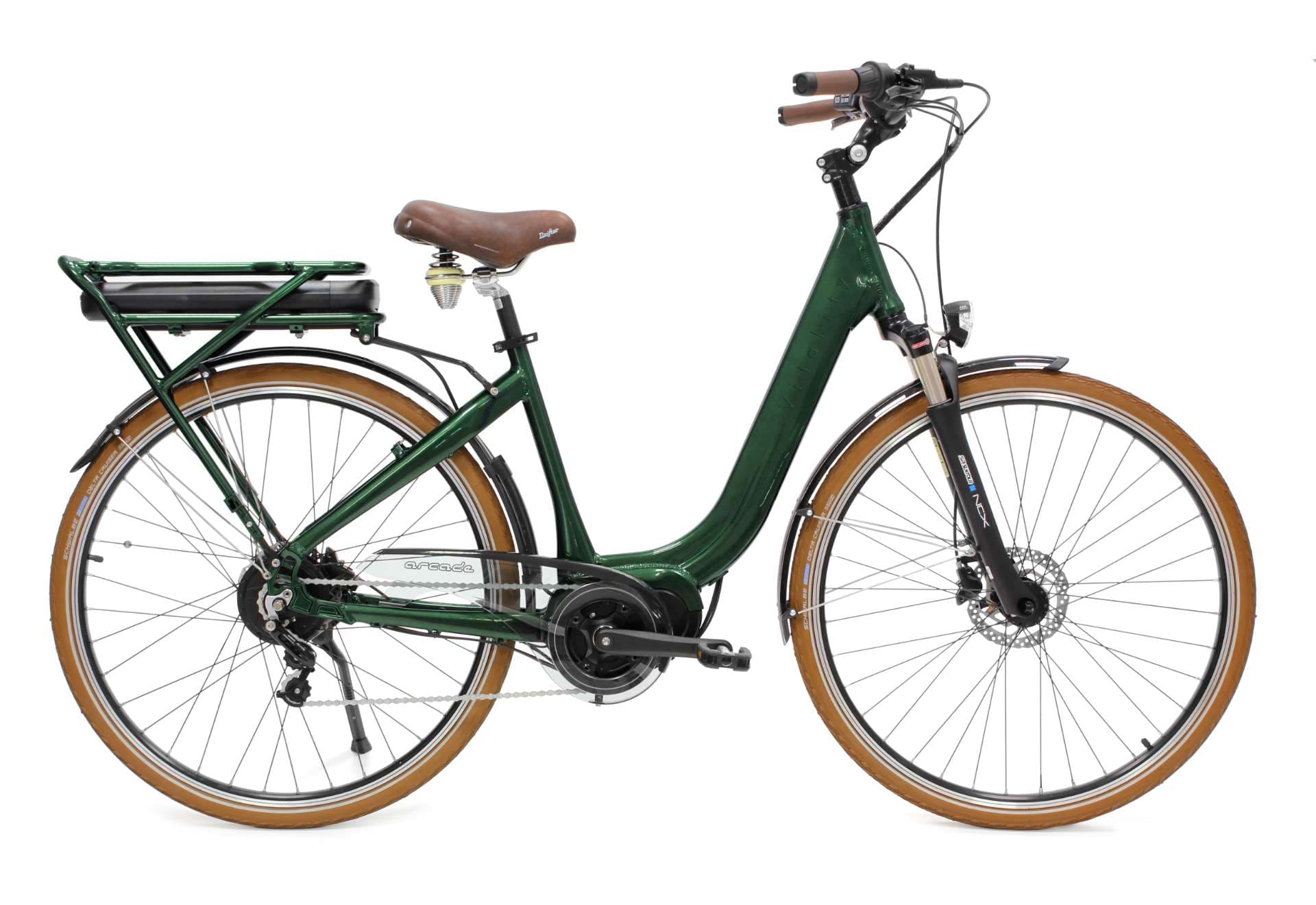 Adult electric bike
