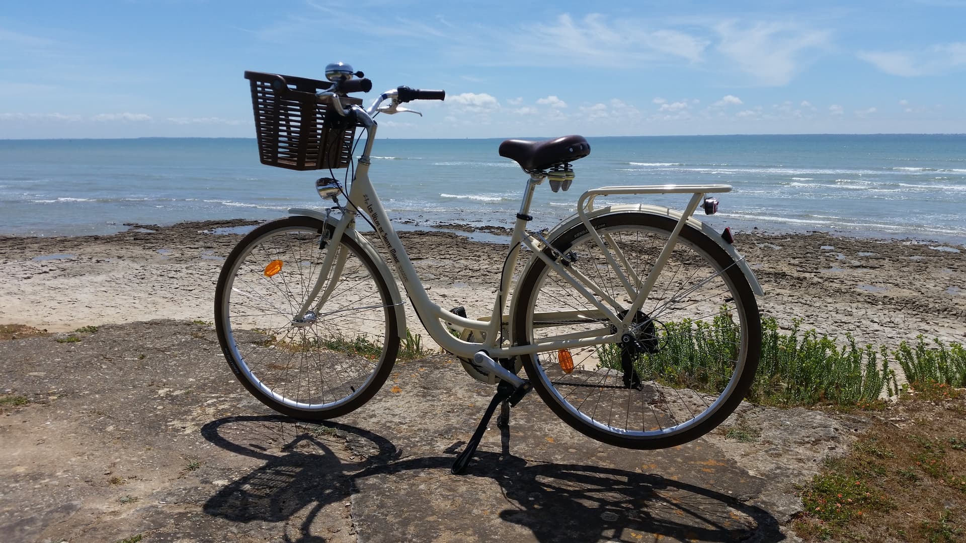 Adult Mixed Bike