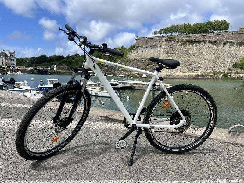 Adult Mountain Bike