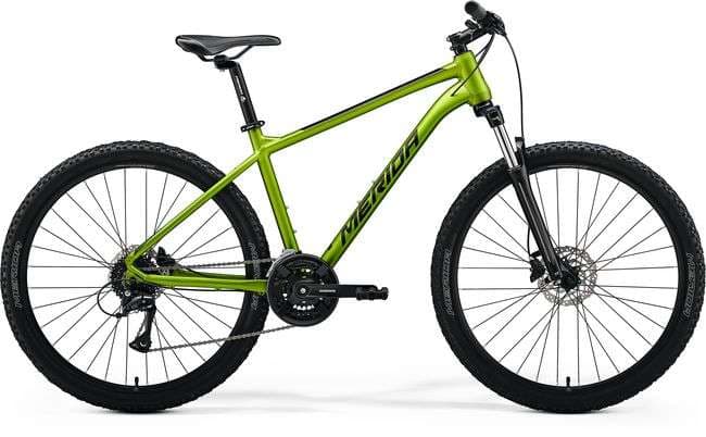 Adult MTB