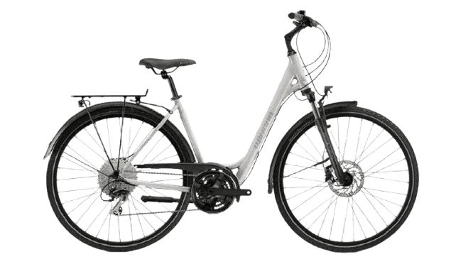 Adult Trekking Bike