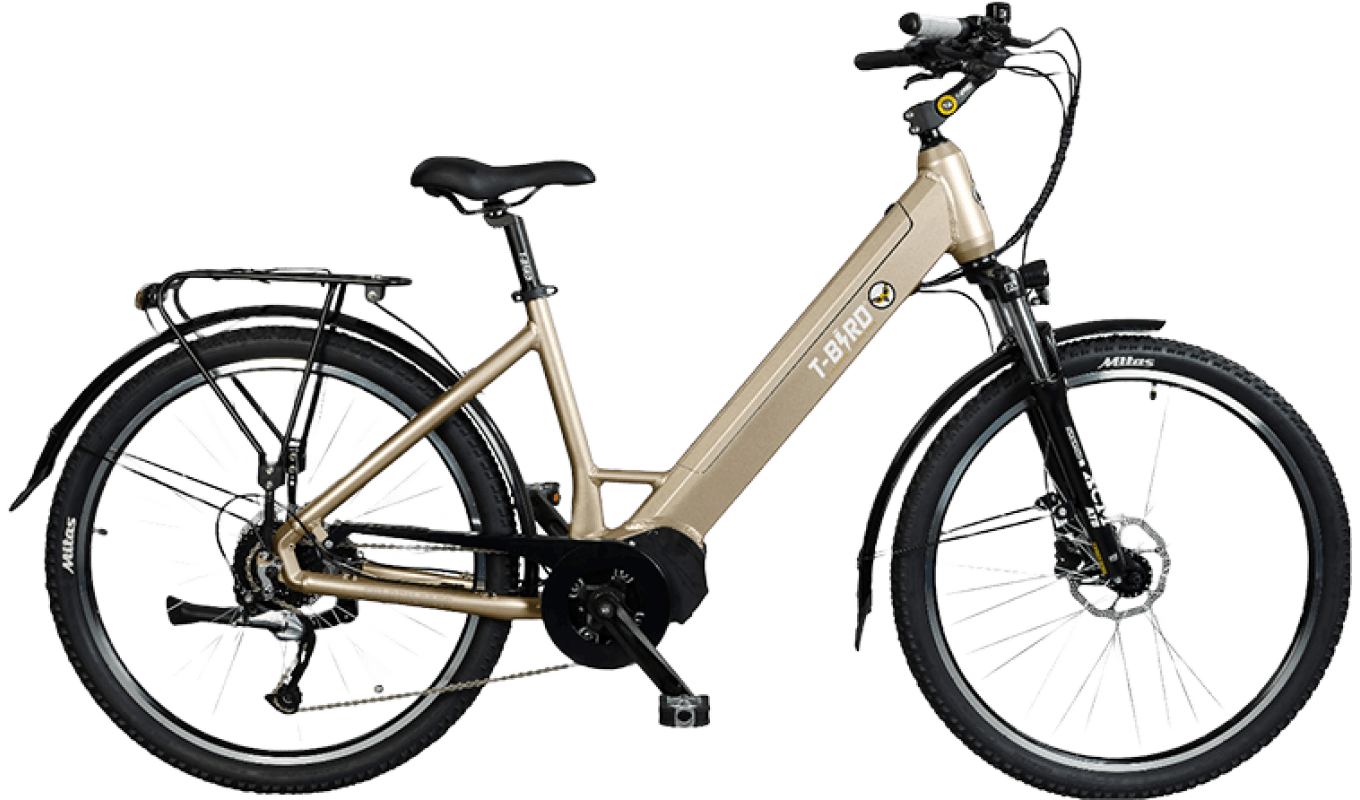 ALL ROAD, all-terrain bike with a range of 120 km