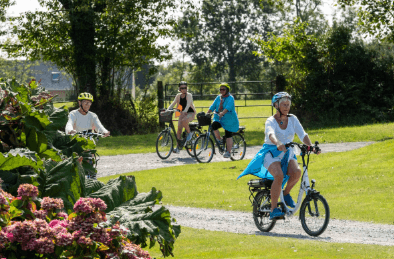 All-Terrain Bike