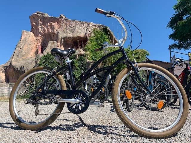 Beach Cruiser