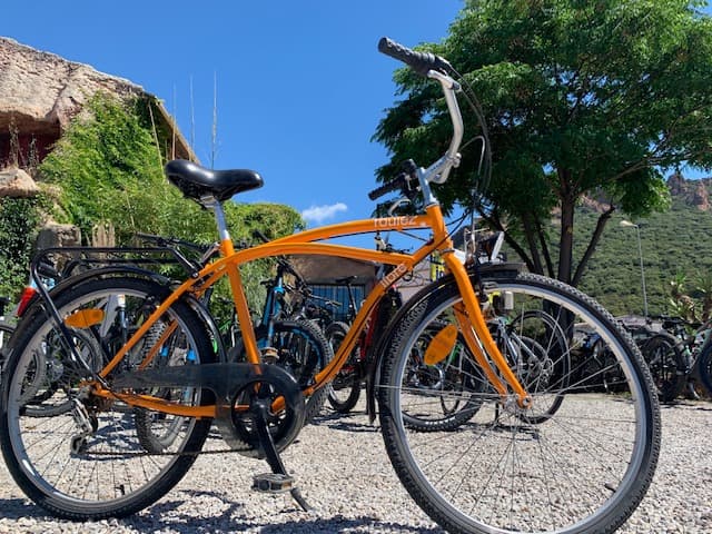 Beach Cruiser orange