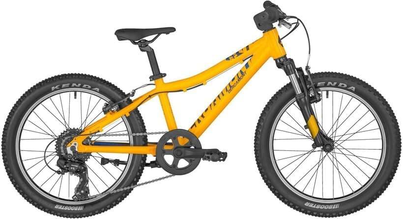 BERGAMONSTER 20 " – Nice