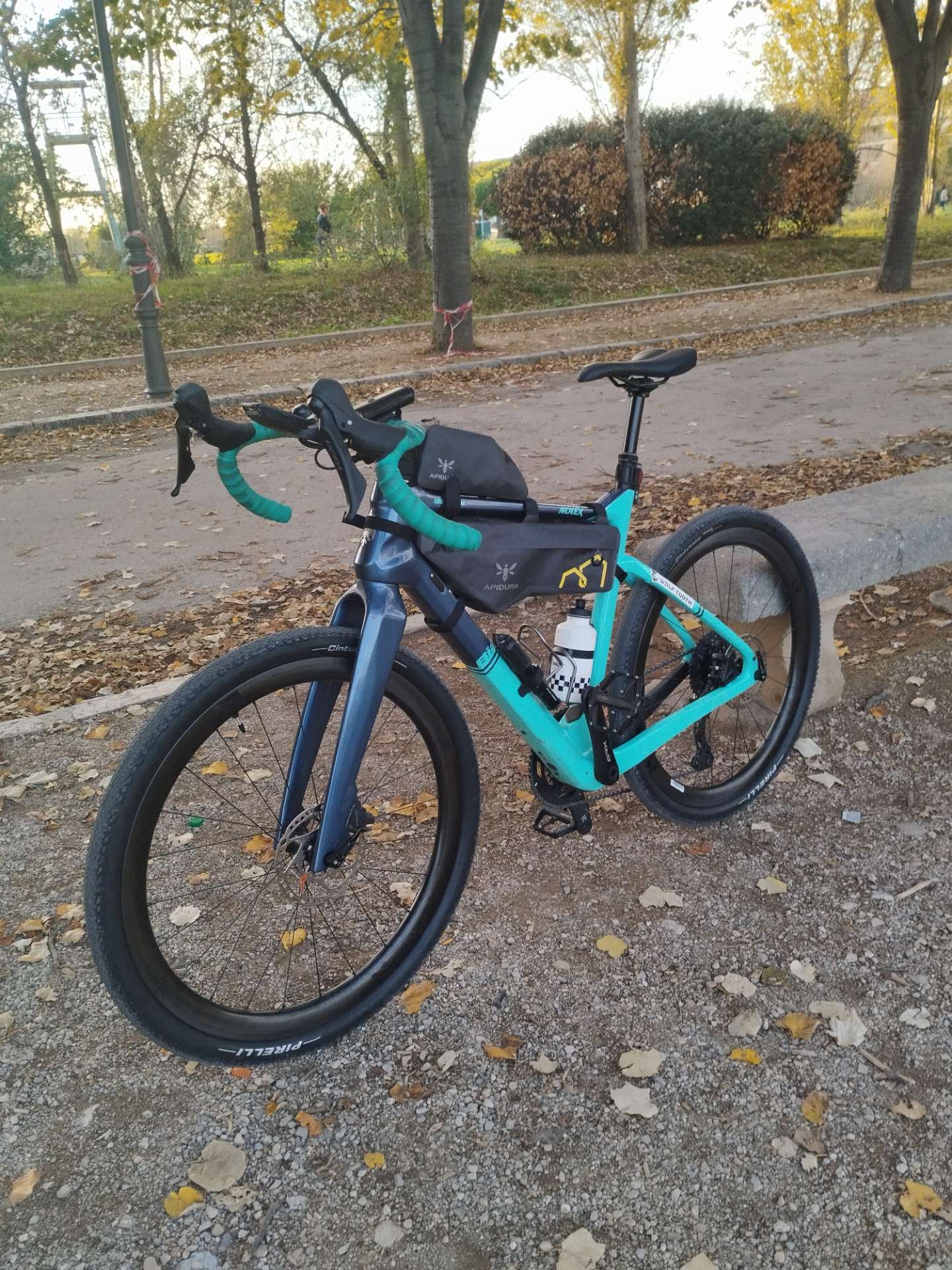 Bianchi Arcadex Size 53 (M )