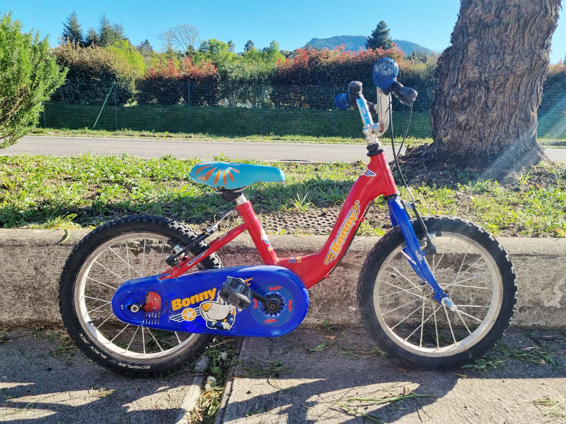 Bonny Red Kids' Bike 4-6 Years