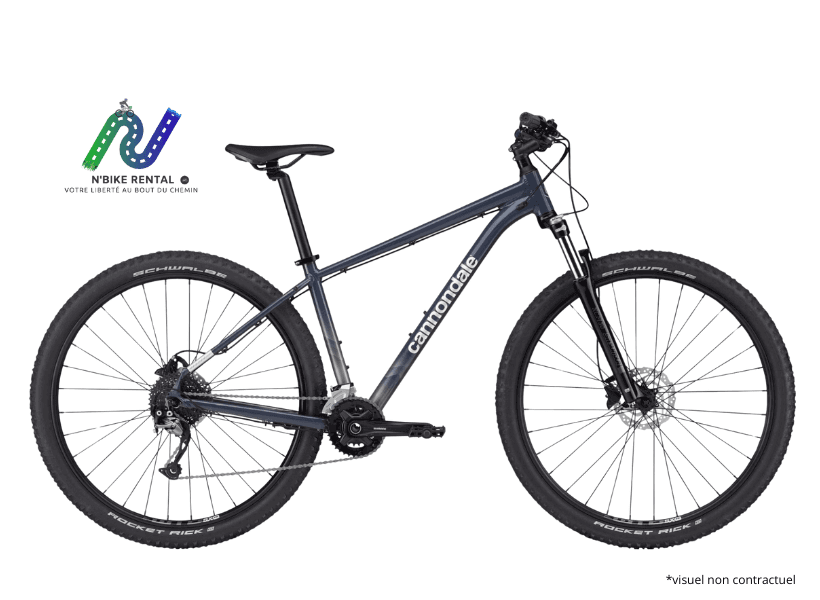 Cannondale 29-inch mountain bike - 172 to 188 cm