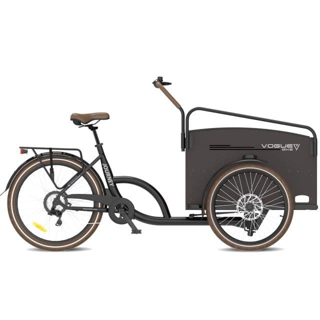 Cargo e-bike