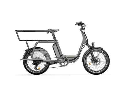 Cargo Longtail 1 adult + 2 children