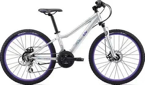 Cedric 24-inch BMX