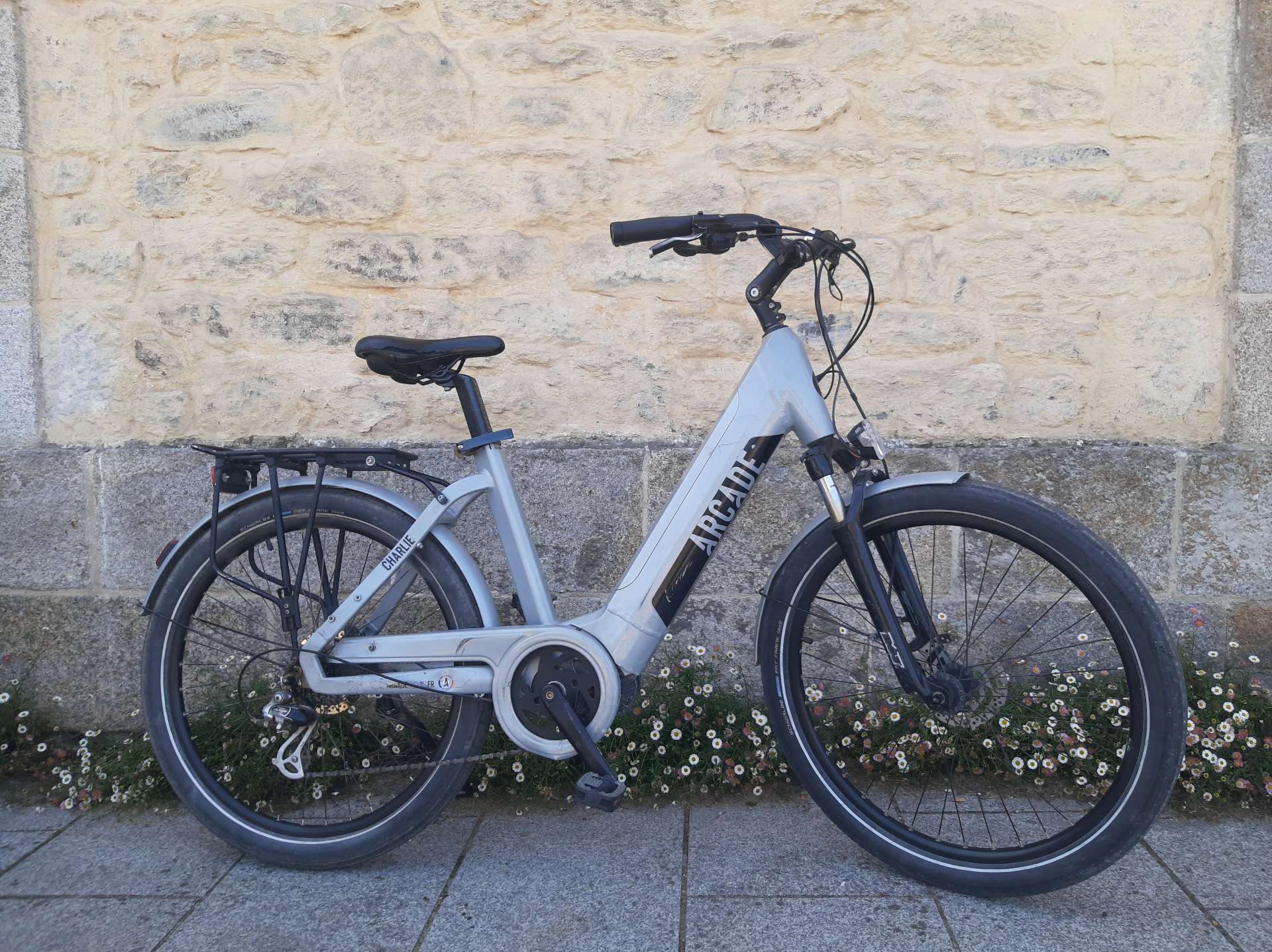 Charlie Electric Bike - L