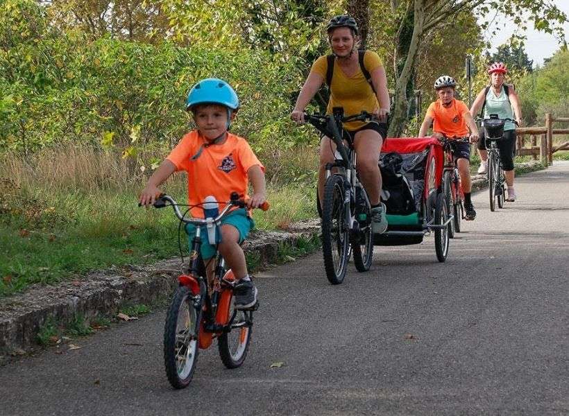 Child Bike 6 to 9 Years (115 <-> 135 cm)