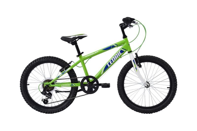 Child's Bike 20'