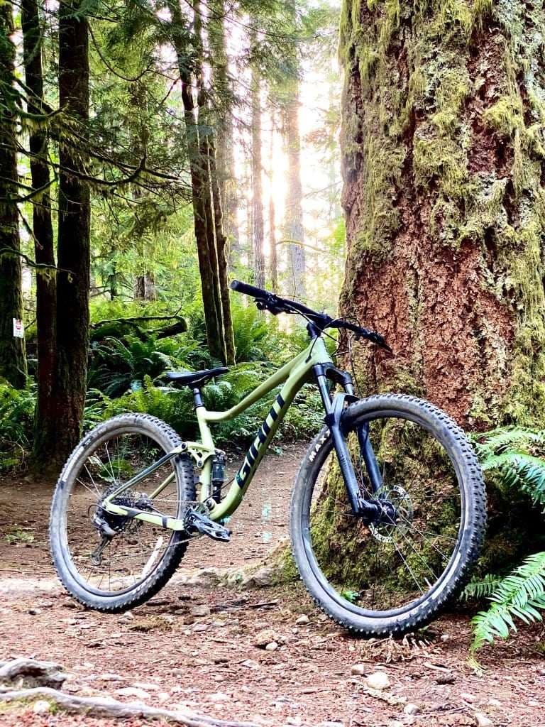 Classic MTB size S