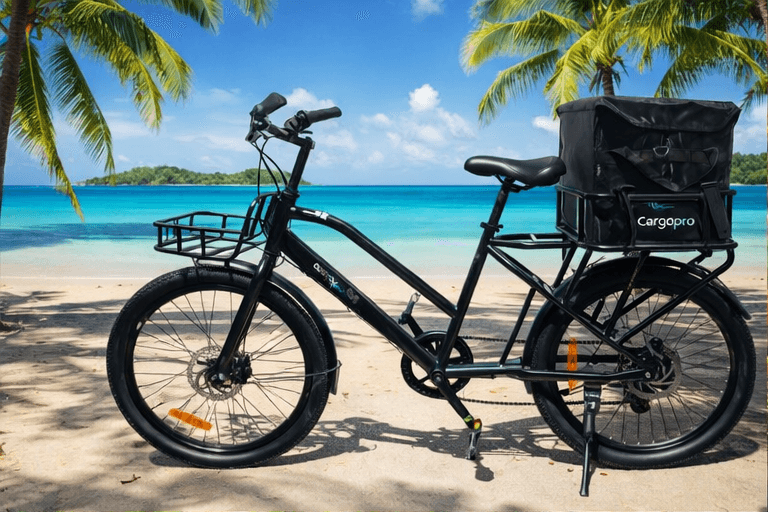 CX01 All-Terrain Cargo Bike - Adult 195*65*134
