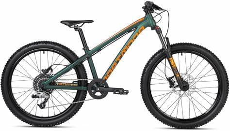 Dartmoor Hornet Junior 24