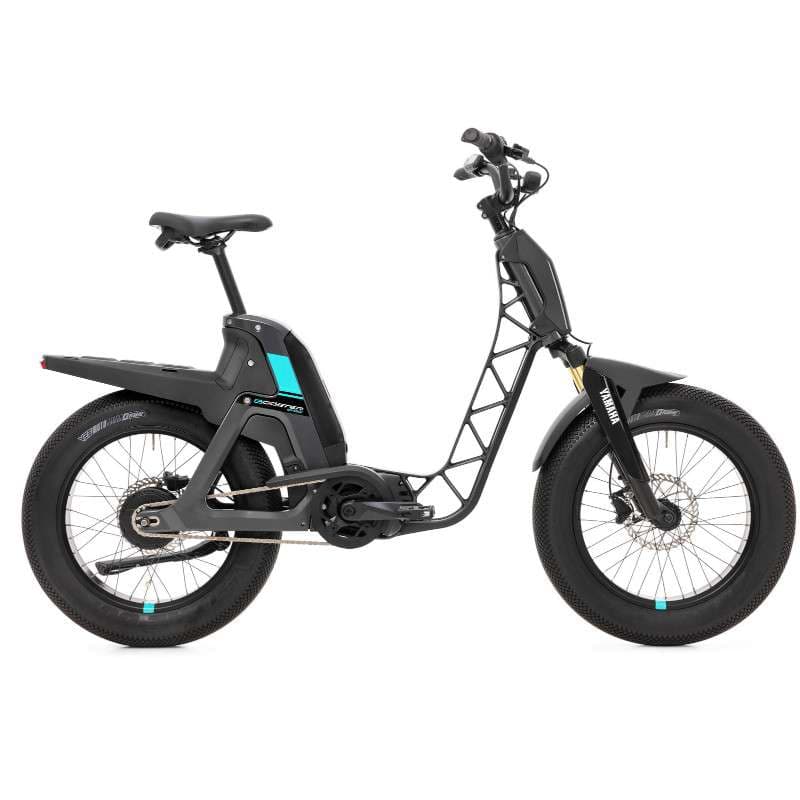 E Fat Bike Performance