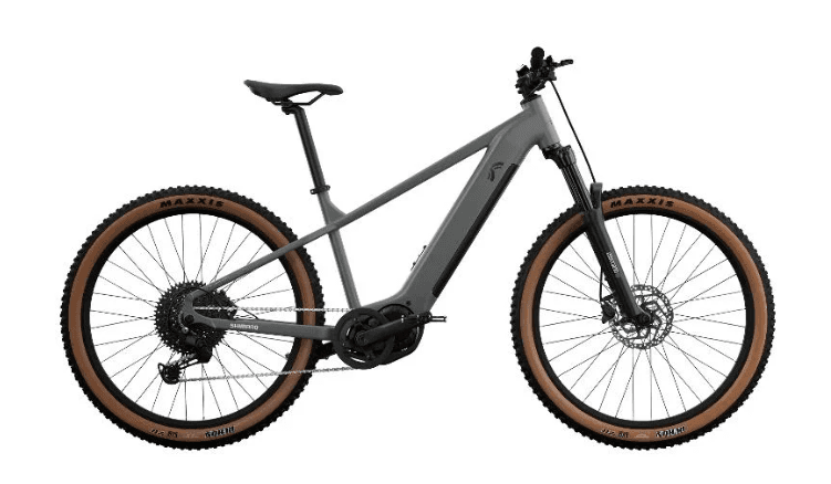 E-MTB Size L 100Nm 710Wh