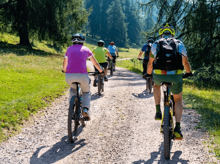 Electric All-Terrain Bicycle