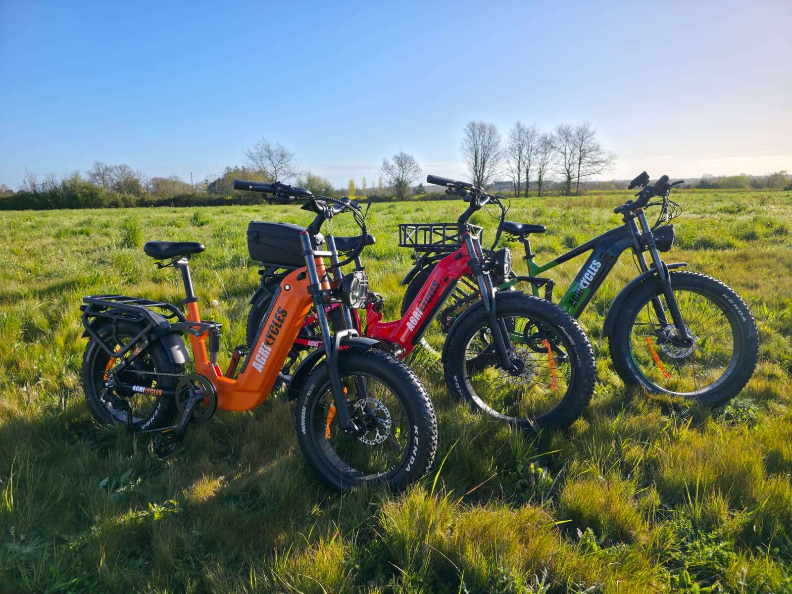 Electric All-Terrain Bicycles