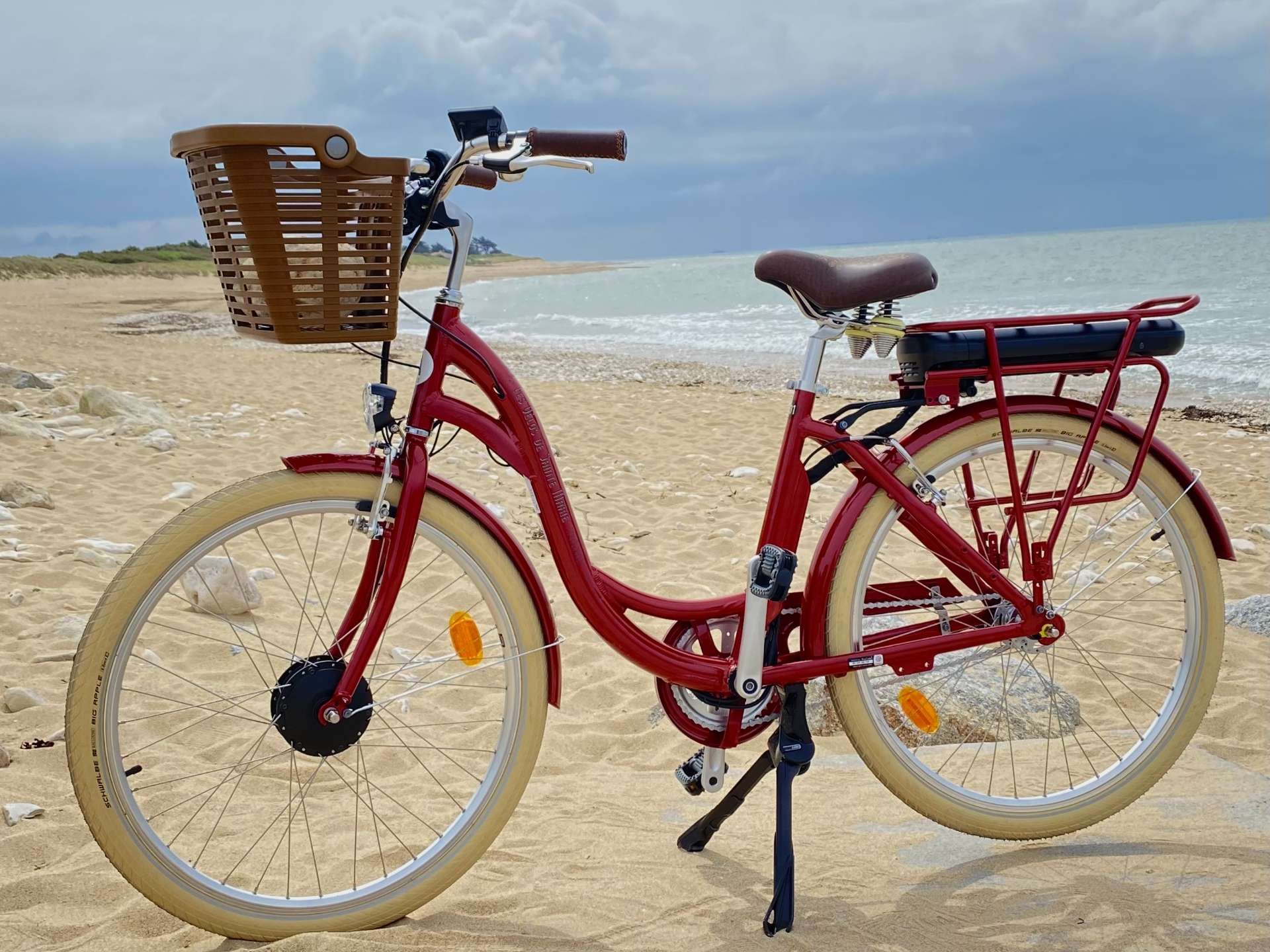 Electric Assist Bike _ 20 Ah _ 120 kms