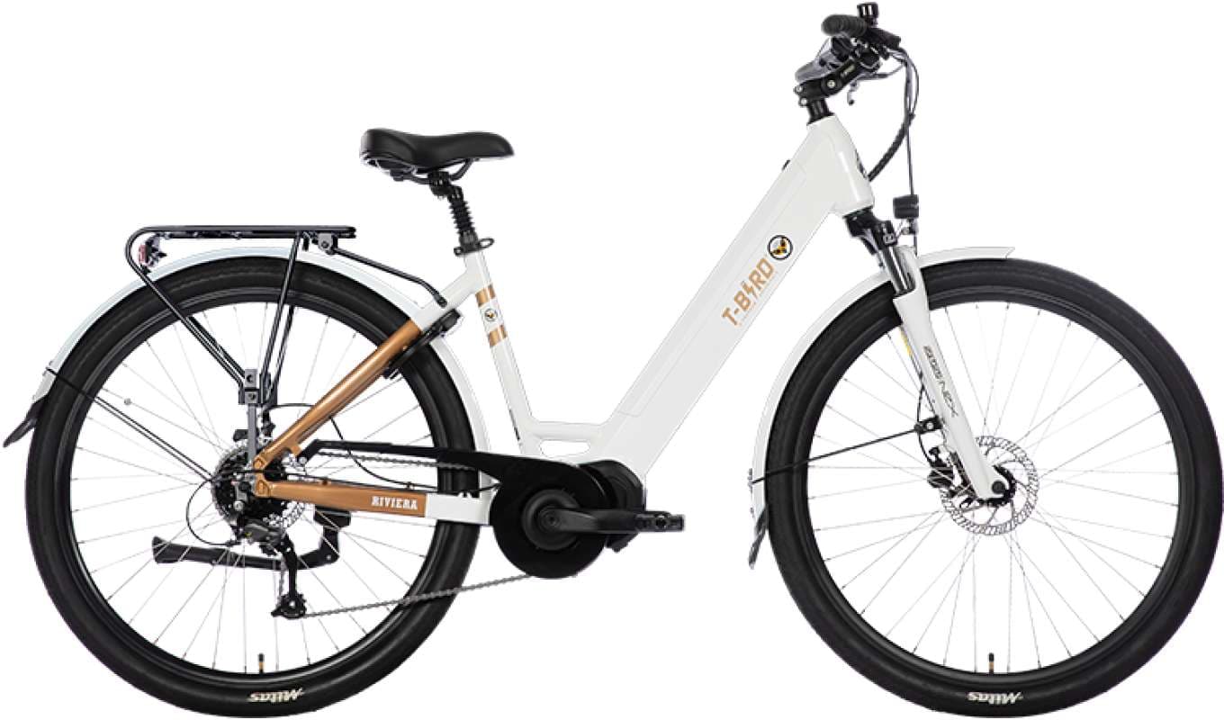 Electric Assist VTC