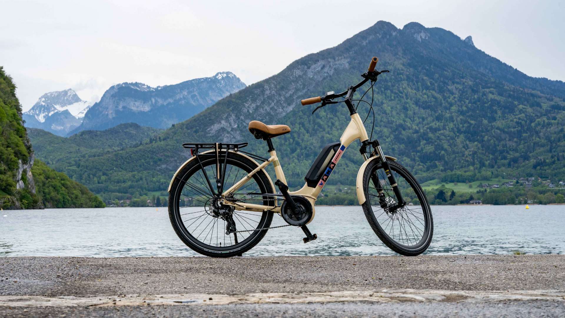 Electric Assistance Bikes - Size L