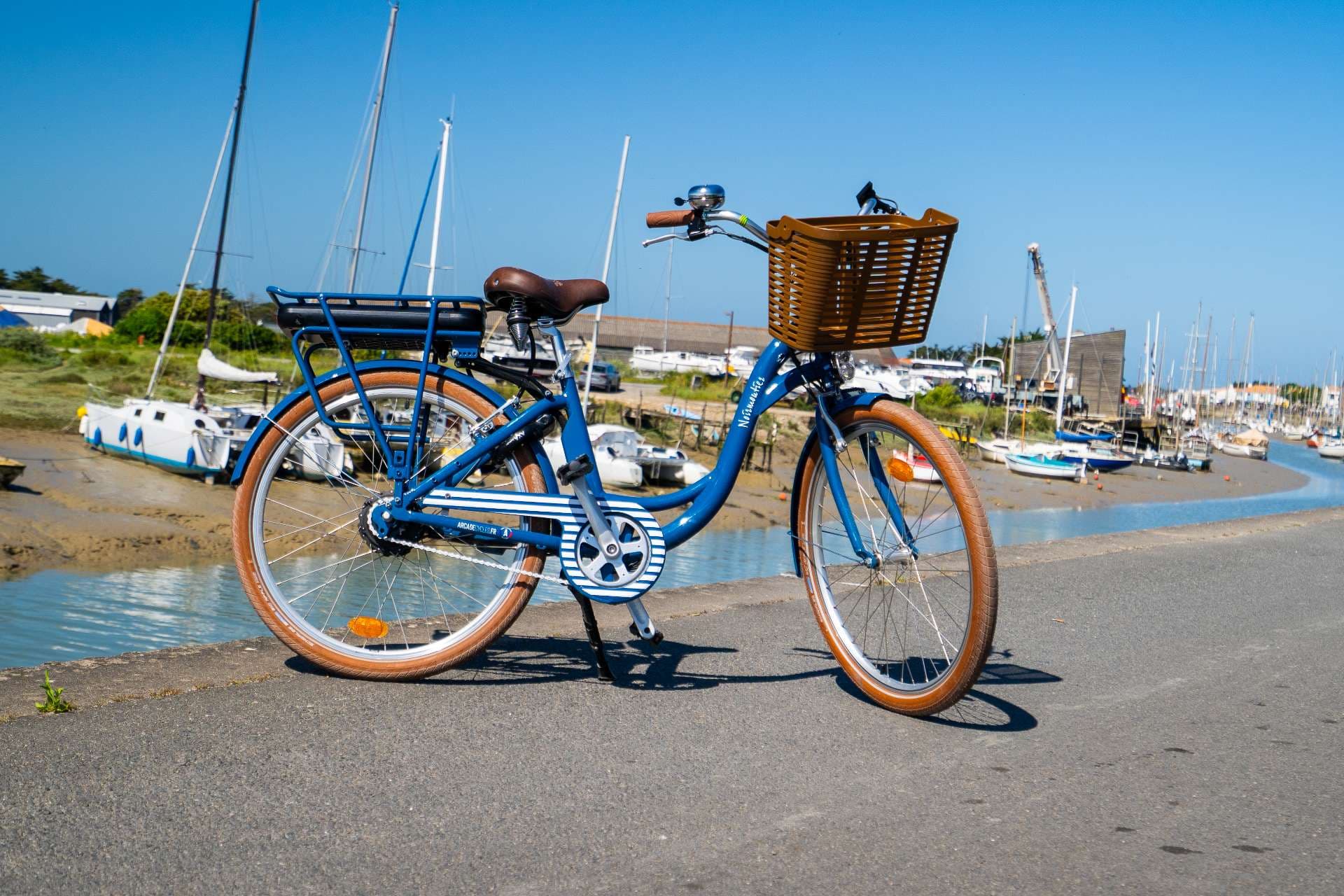 Electric Bicycle
