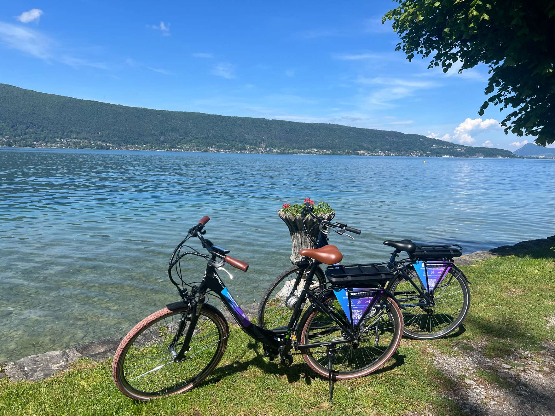 Electric Bike