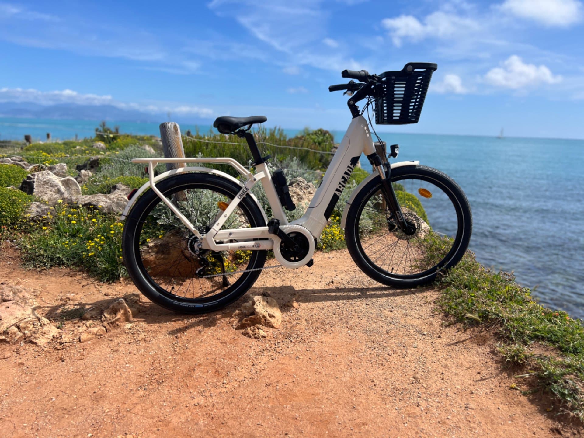 Electric bike - Arcade Charlie