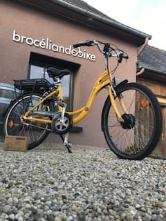 Electric Bike