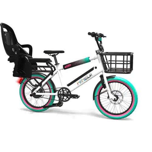 Electric Bike for 2