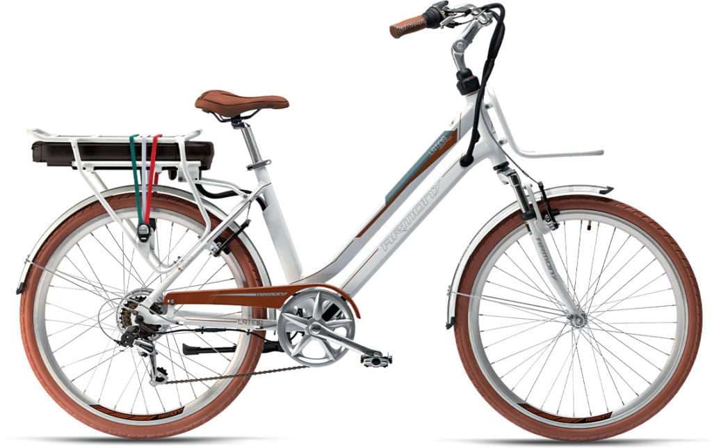 Electric Bike / Size L: 1.70m - 1.95m