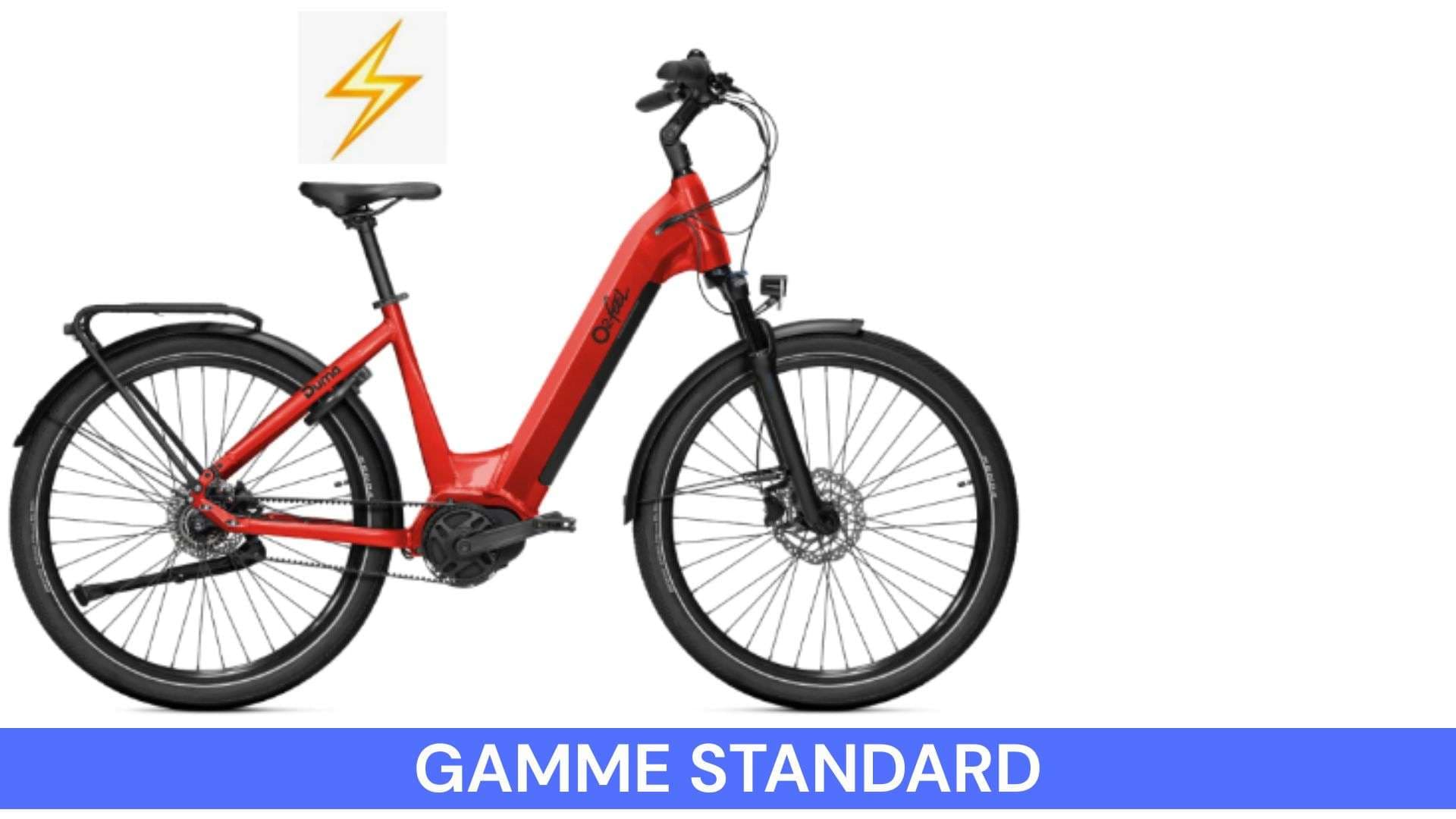Electric Bike Standard Range M/L