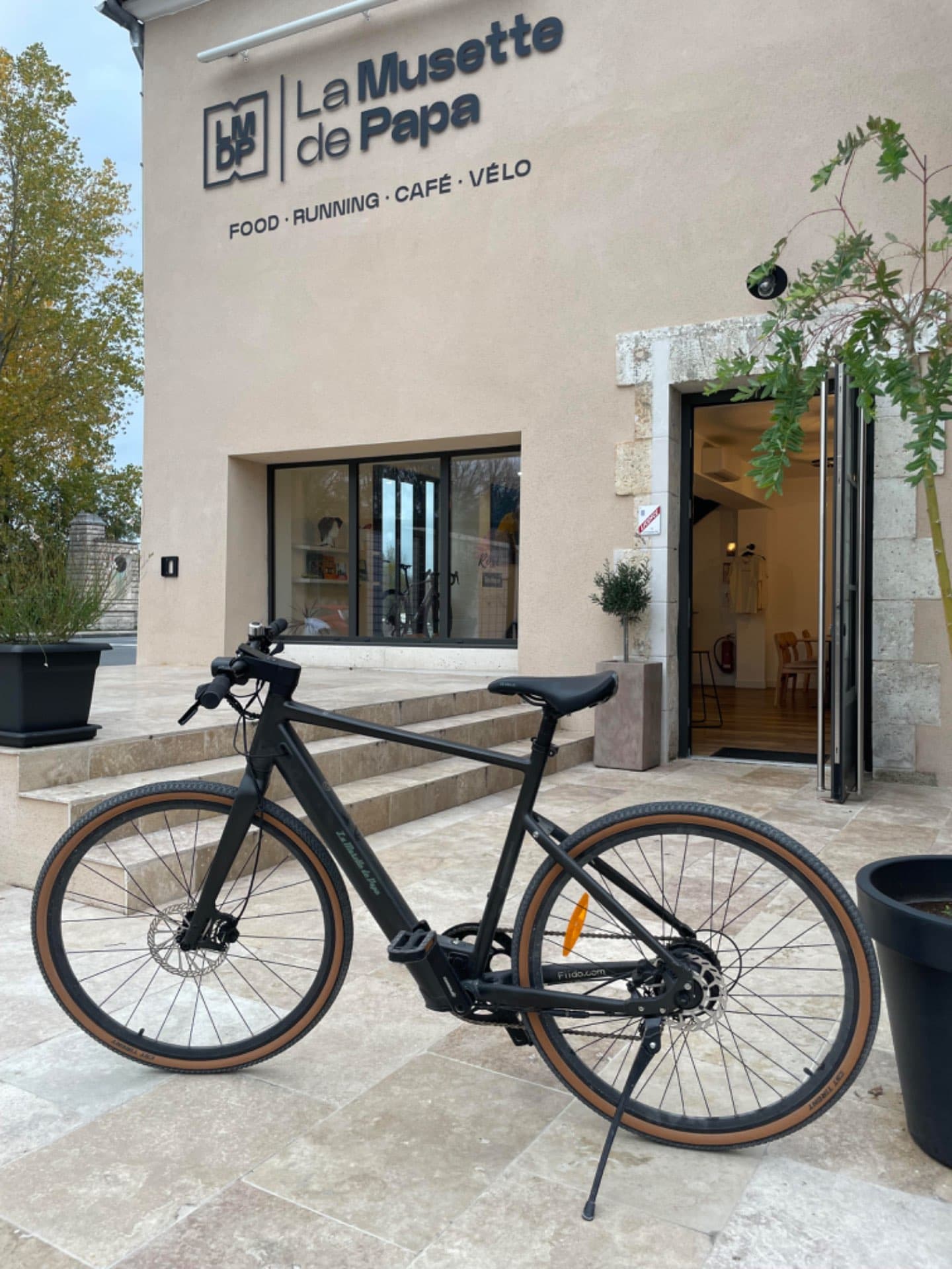Electric Bikes