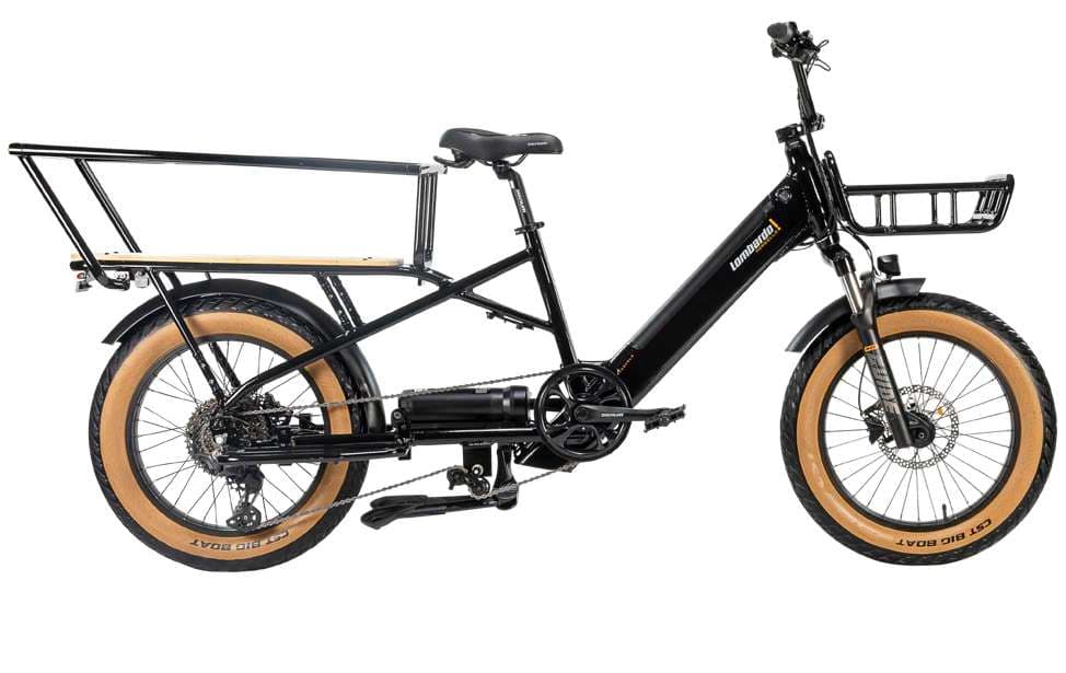Electric Cargo Bike