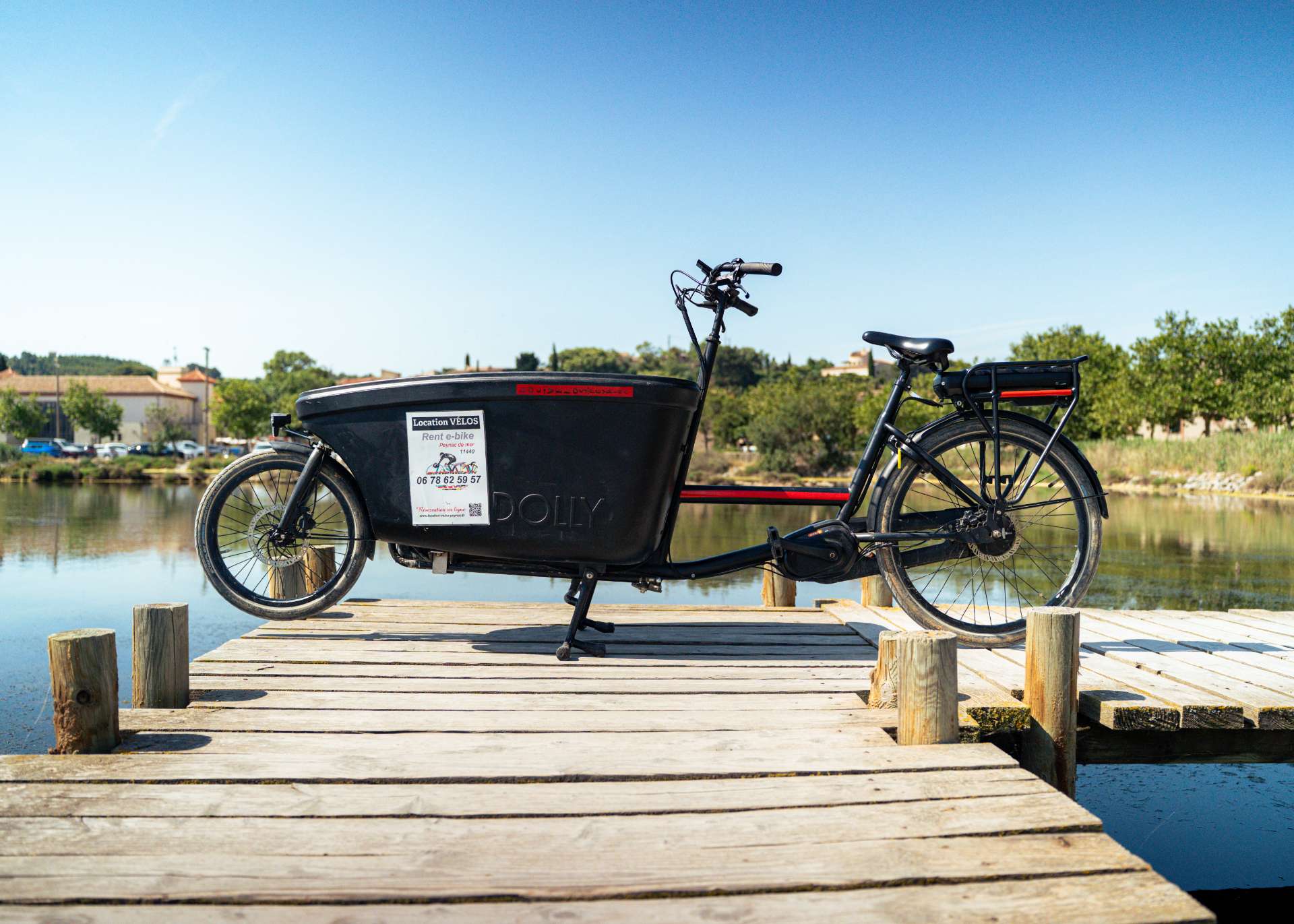 Electric cargo bike